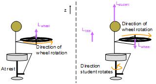 Conservation of Angular Momentum