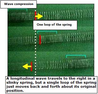 Longitudinal Waves