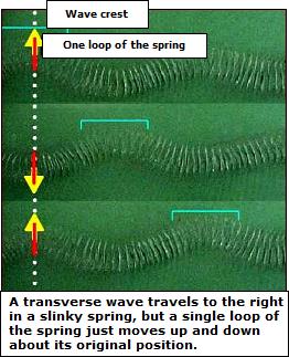 Transverse Waves